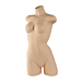 Ladies' Active Wear Torso is made of  fleshtone, fiberglass construction and is athletically posed, perfect for swimwear.  Wears a size 6 and is self-standing.  