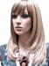 Style 3: Blonde Straight with Highlights Female Synthetic Fiber Wig 