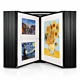 Flip-Style Wall Mount Fine Art Display